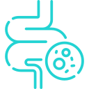 Digestive Disorders icon
