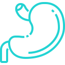 Digestive Problems icon
