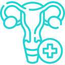 Gynecology icon