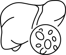 Liver Diseases