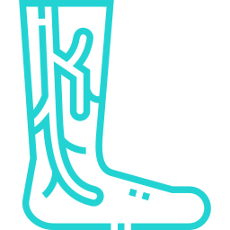 varicose veins icon