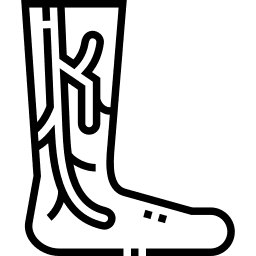 Varicose veins