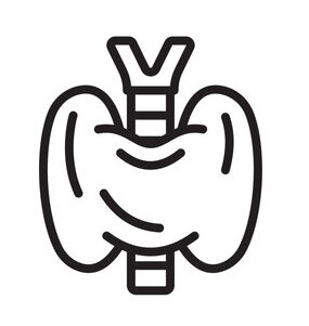 Thyroid
