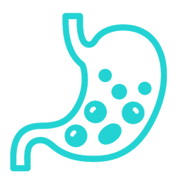Irregular bowels, gas issues